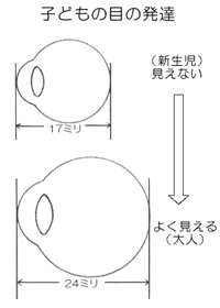 子どもの目の発達