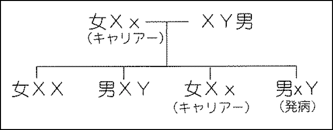 X染色体劣性遺伝